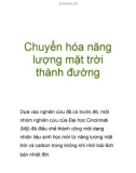 Chuyển hóa năng lượng mặt trời thành đường