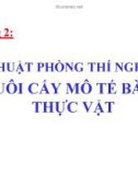 Bài giảng Chương 2: KỸ THUẬT PHÒNG THÍ NGHIỆM NUÔI CẤY MÔ TẾ BÀO THỰC VẬT