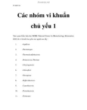 Vi sinh vật - Các nhóm vi khuẩn chủ yếu 1