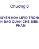 CHƯƠNG 6: SỰ CHUYỂN HOÁ LIPID TRONG QUÁ TRÌNH BẢO QUẢN CHẾ BIẾN THỰC PHẨM