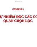 Bài giảng Độc học môi trường - Chương 5