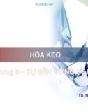 Bài giảng Hóa keo - Chương 9: Sự bền vững hệ keo (TS. Ngô Thanh An)