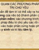 Tổng quan các trường phái chủ yếu