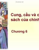 Cung và Cầu chính sách của chính phủ