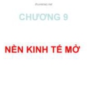 Bài giảng Kinh tế học vĩ mô - Chương 9: Nền kinh tế mở