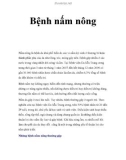 Bệnh nấm nông