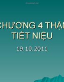 Thận tiết niệu