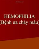 HEMOPHILIA (Bệnh ưa chảy máu)