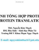 Bài giảng Sinh tổng hợp protein (protein translation) - ThS. Nguyễn Kim Thạch (ĐH Y Khoa Phạm Ngọc Thạch)