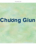 Bài giảng Giun xoắn