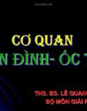 Bài giảng Cơ quan tiền đình - ốc tai - ThS.BS. Lê Quang Tuyền