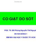 Bài giảng Co giật do sốt - PGS.TS.BS Phùng Nguyễn Thế Nguyên