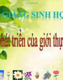 Bài giảng Sinh học 6 bài 44: Sự phát triển của giới thực vật