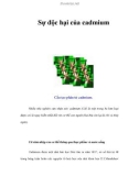 Sự độc hại của cadmium