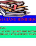 Bài giảng Hình học 7 chương 1 bài 3: Các góc tạo bởi một đường thẳng cắt hai đường thẳng