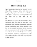 Thuốc từ cây dứa