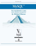 Mysql your visual blueprint for creating open source databases- P1