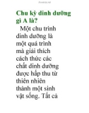 Chu kỳ dinh dưỡng gì A là?