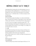 DÒNG CHẤT LƯU THỰC