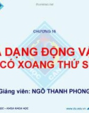 Bài giảng Sinh học đại cương A2: Chương 16 - Ngô Thanh Phong