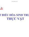 Chương 3: CHẤT ĐIỀU HÒA SINH TRƯỞNG