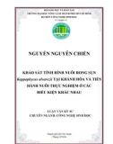 KHẢO SÁT TÌNH HÌNH NUÔI RONG SỤN Kappaphycus alvarezii TẠI KHÁNH HÕA VÀ TIẾN HÀNH NUÔI THỰC NGHIỆM Ở CÁC ĐIỀU KIỆN KHÁC NHAU