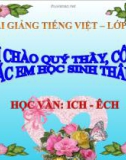 Bài giảng Tiếng Việt 1 bài 82 bài: Học vần ICH - ÊCH