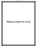 Phòng trị bệnh cho cá trê