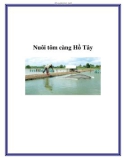 Nuôi tôm càng Hồ Tây