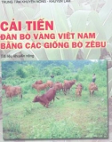 Giống bò Zebu và sự cải tiến đàn bò vàng Việt Nam: Phần 1