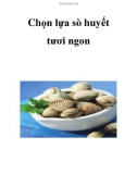 Chọn lựa sò huyết tươi ngon