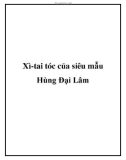 Xì-tai tóc của siêu mẫu Hùng Đại Lâm