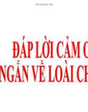 Bài giảng môn Tiếng Việt lớp 2 năm học 2020-2021 - Tuần 21: Tập đọc làm văn Đáp lời cảm ơn. Tả ngắn về loài chim (Trường Tiểu học Thạch Bàn B)