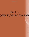 Bài giảng GDCD 8 bài 11: Lao động tự giác và sáng tạo