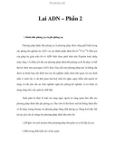 Lai ADN – Phần 2