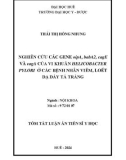 Tóm tắt Luận án Tiến sĩ Y học: Nghiên cứu các gene oipA, babA2, cagE và cagA của vi khuẩn Helicobacter pylori ở các bệnh nhân viêm, loét dạ dày tá tràng