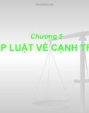 Bài giảng Luật kinh tế: Chương 5 - Pháp luật về cạnh tranh