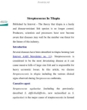 Streptococcus In Tilapia part 1