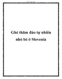 Ghé thăm đảo tự nhiên nhỏ bé ở Slovenia