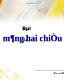 Bài giảng Điện tử Tin học lớp 11: Bài 14