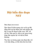 Đột biến đảo đoạn NST