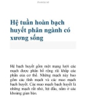 Hệ tuần hoàn bạch huyết phân ngành có xương sống