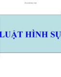 Văn bản Luật hình sự