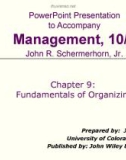 Management - Chapter 9: Fundamentals of Organizing