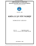 Luận văn: Hoàn thiện công tác tổ chức kế toán nguyên vật liệu tại Công ty Cổ phần Nhựa Thiếu Niên Tiền Phong