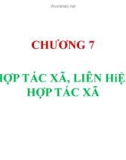 Bài giảng Chương 7: Hợp tác xã, liên hiệp hợp tác xã