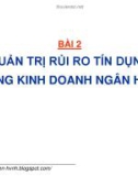 Bài giảng Quản trị rủi ro trong kinh doanh ngân hàng: Bài 2 - GS. TS. Nguyễn Văn Tiến