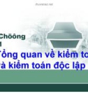 Chương 1: Tổng quan về kiểm toán và kiểm toán độc lập