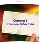 Bài giảng môn Lý thuyết kiểm toán: Chương 3