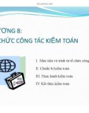 Bài giảng môn Lý thuyết kiểm toán: Chương 8